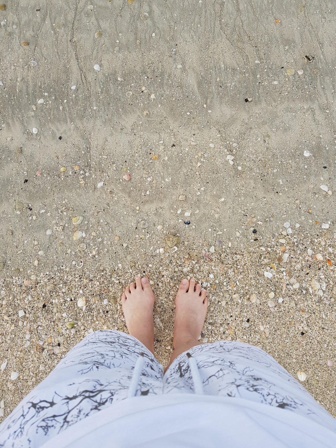 Waldorf Astoria Palm Jumeirah